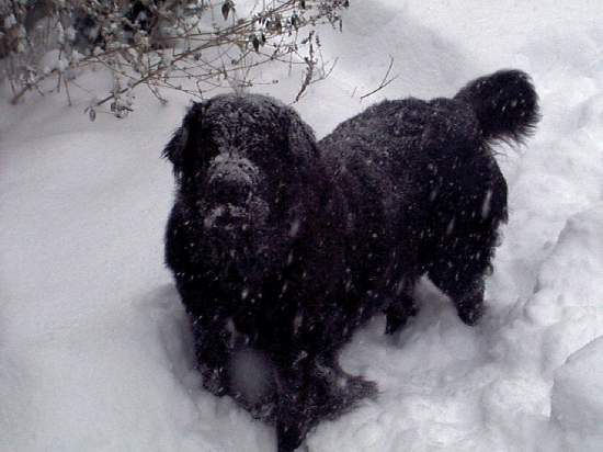 Click Image to Go Back