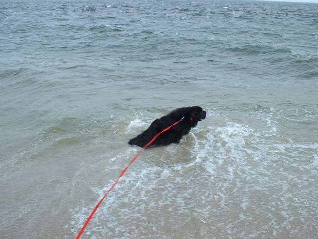 Click Image to go Back