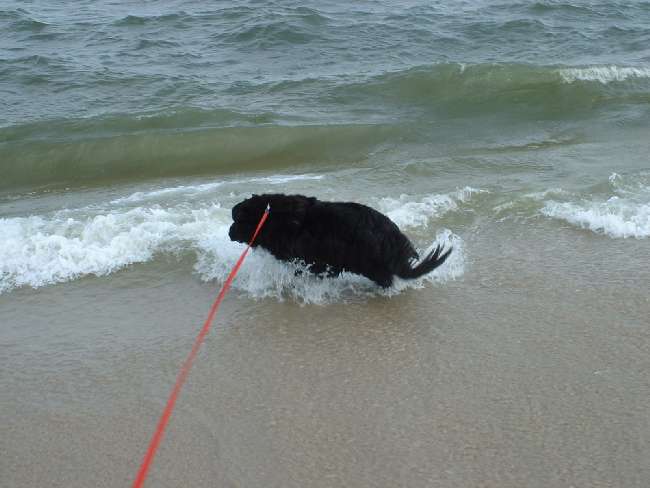 Click Image to go Back