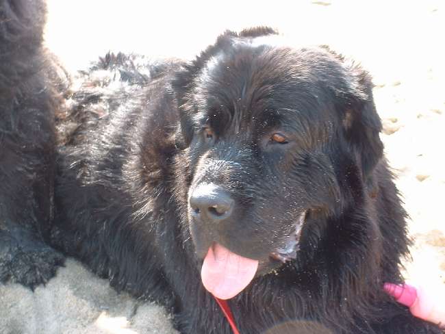 Click Image to go Back