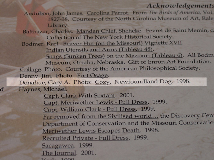 Click Image to go Back