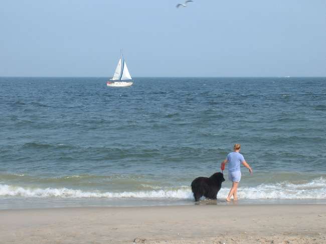 Click Image to go Back