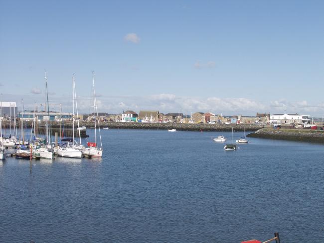 Click Image to go Back